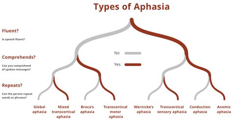 aphasia types